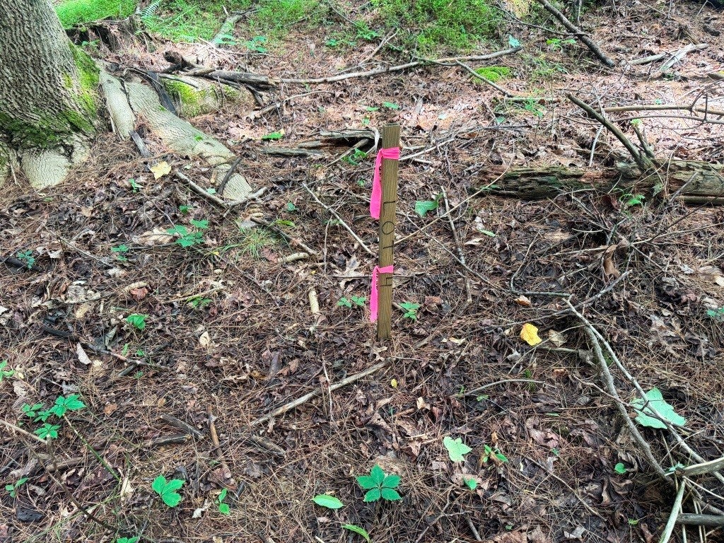 Photo of 4 Kelly Rd #4, Fancy Gap, VA 24328 (MLS # 111042)