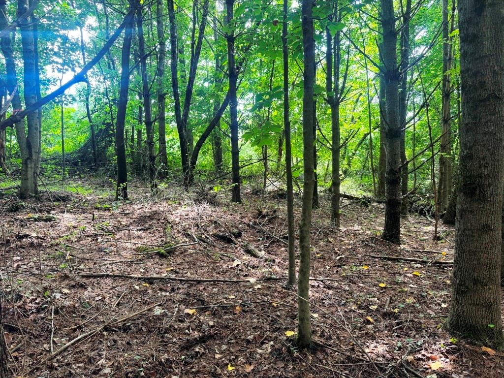 Photo of 4 Kelly Rd #4, Fancy Gap, VA 24328 (MLS # 111042)