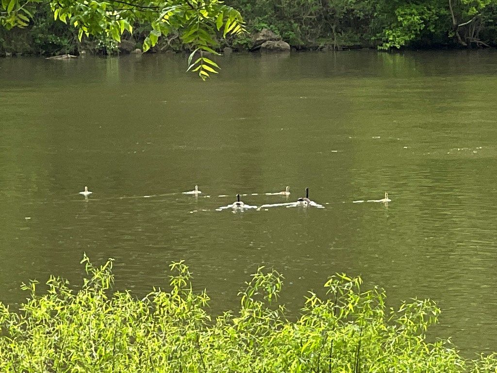 Photo of 32 Clarks Ferry #32, Draper, VA 24324 (MLS # 104619)