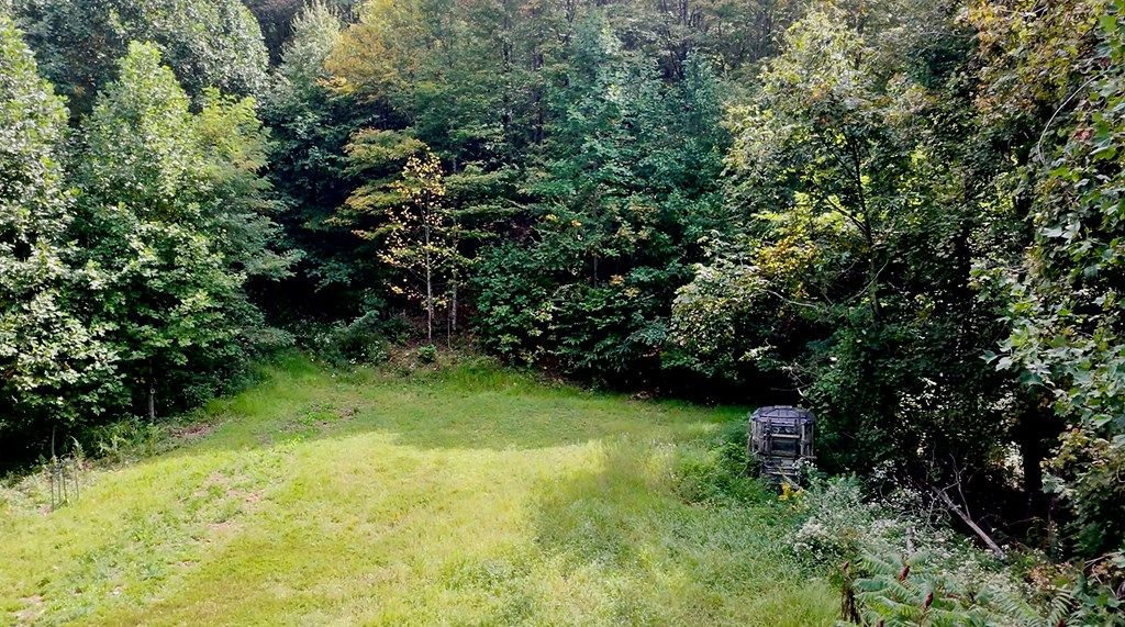 Photo of TBD Stoney Ridge Road #021-A-0026&11, Tazewell, VA 24605 (MLS # 103514)