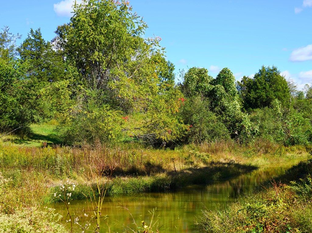 Photo of TBD Hairfield Ln #0, Axton, VA 24054 (MLS # 103771)