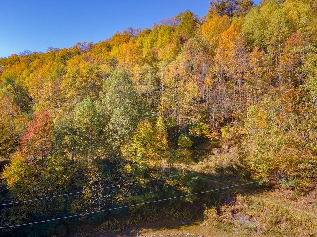 Photo of 4 Starry Nights Dr #4, Fancy Gap, VA 24328 (MLS # 103831)