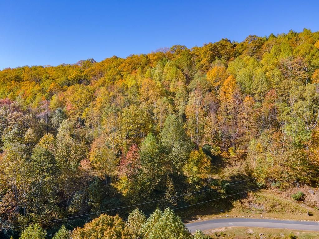 Photo of 4 Starry Nights Dr #4, Fancy Gap, VA 24328 (MLS # 103831)