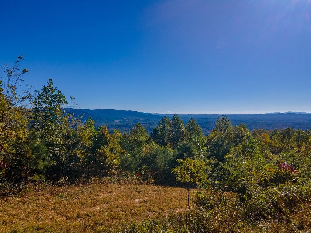Photo of 5 Spring Pond Trl #79 &amp; 80, Fancy Gap, VA 24328 (MLS # 110113)