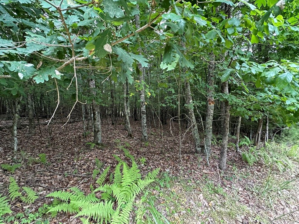 Photo of TBD 0 Live Oak Ln #0, Galax, VA 24333 (MLS # 94411)