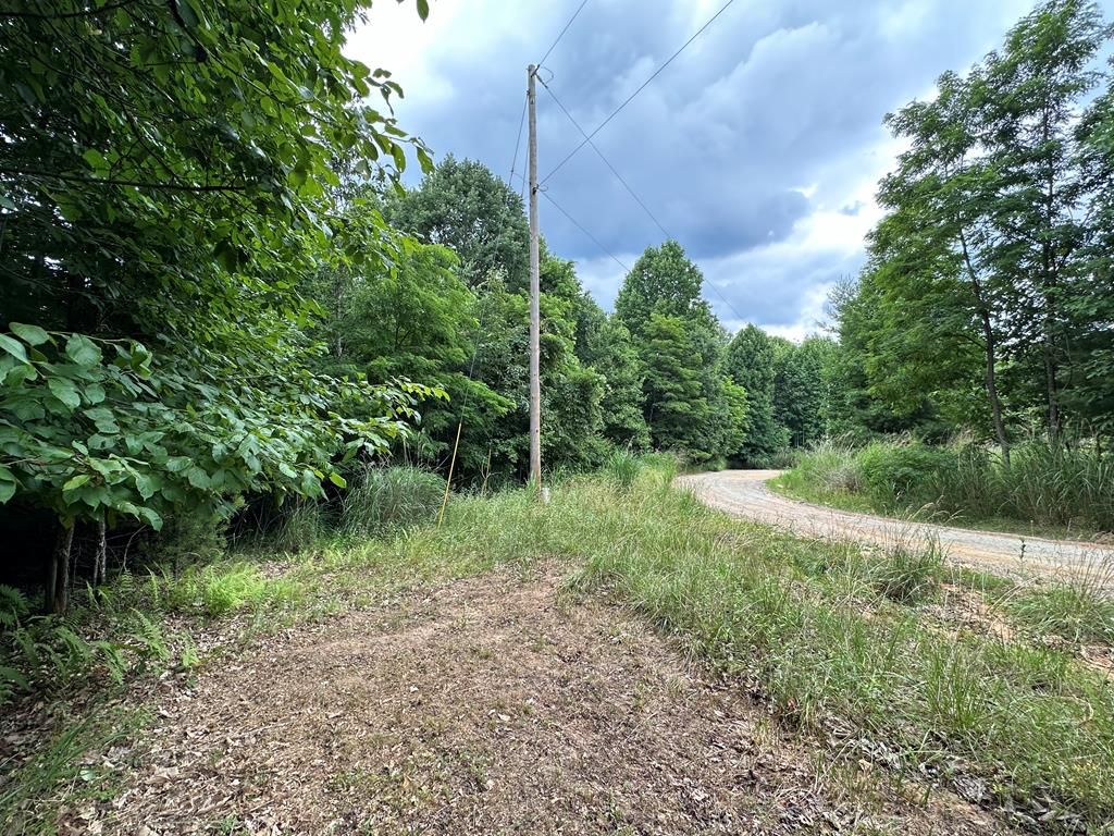 Photo of TBD 0 Live Oak Ln #0, Galax, VA 24333 (MLS # 94411)