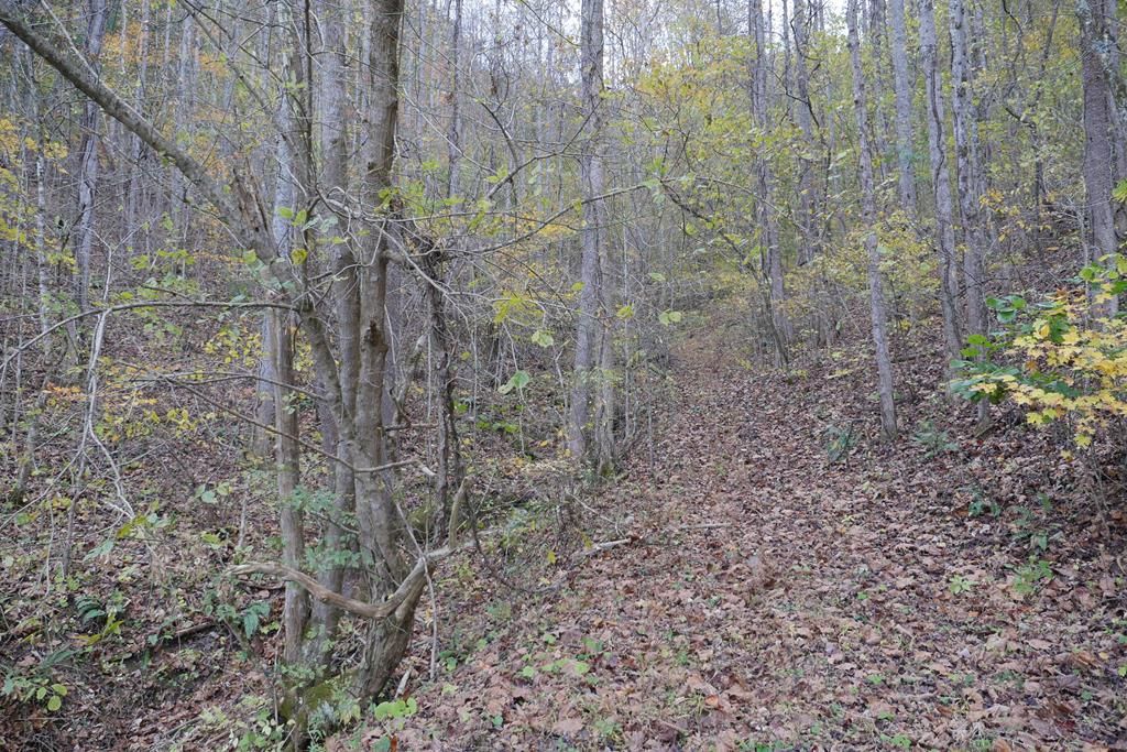 Photo of TBD Highway 58 #1, Bristol, VA 24202 (MLS # 104013)
