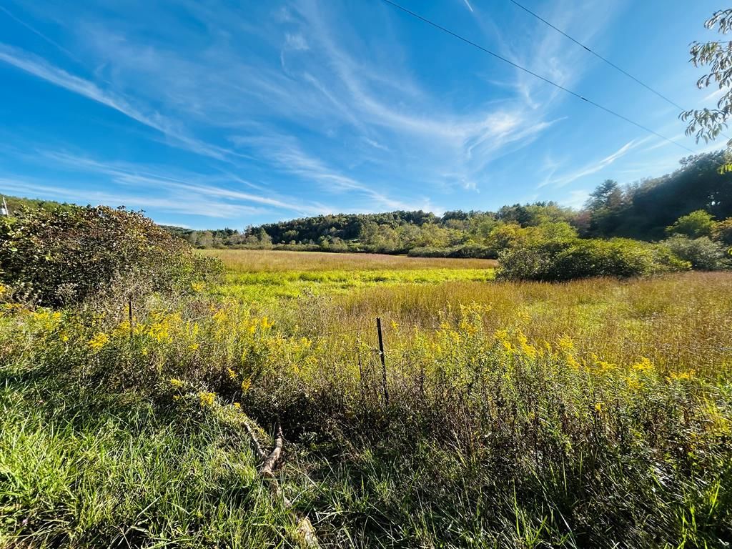 Photo of TBD Mira Fork Rd #97A, 89D, 89B, Willis, VA 24380 (MLS # 103649)