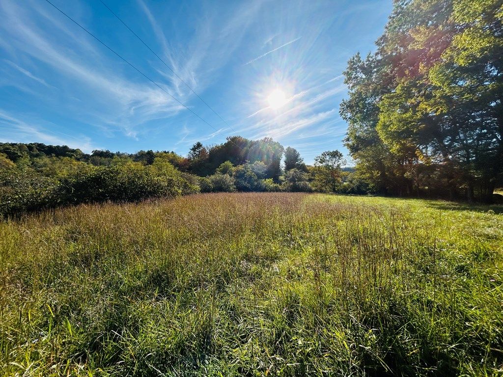 Photo of TBD Mira Fork Rd #97A, 89D, 89B, Willis, VA 24380 (MLS # 103649)