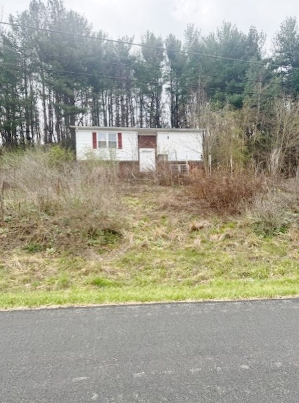Photo of 554 Whispering Pines Rd, Max Meadows, VA 24360 (MLS # 109511)