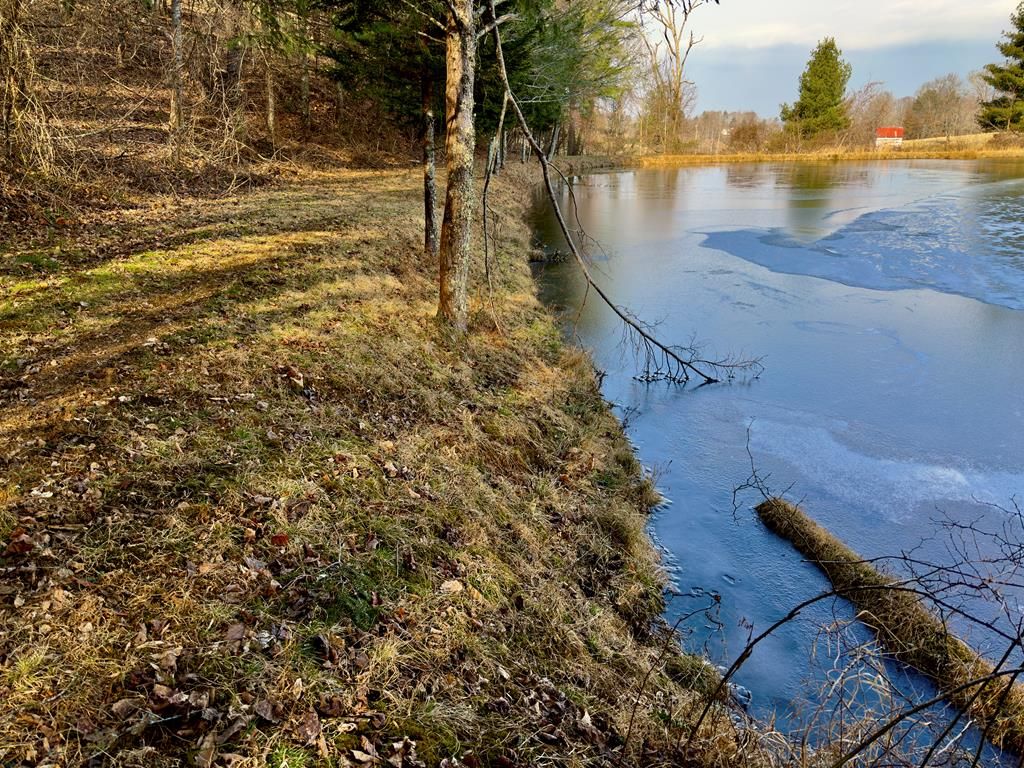 Photo of TBD Breezy Ridge Rd #Part 96-A-101, Woodlawn, VA 24381 (MLS # 105961)