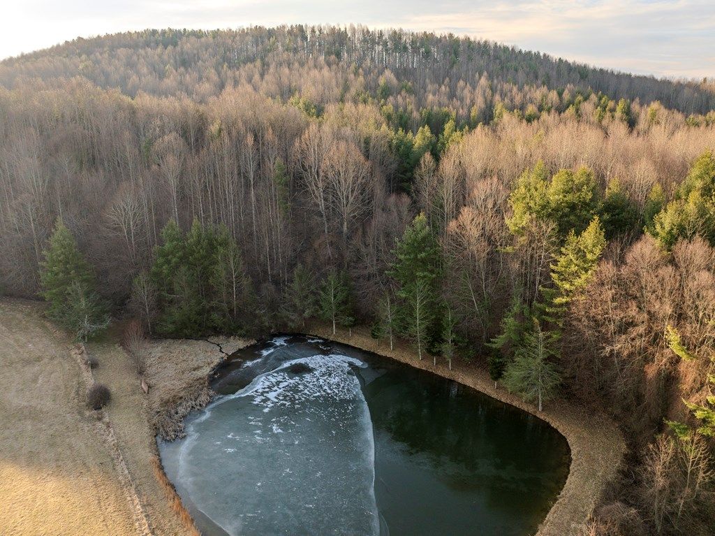 Photo of TBD Breezy Ridge Rd #Part 96-A-101, Woodlawn, VA 24381 (MLS # 105961)