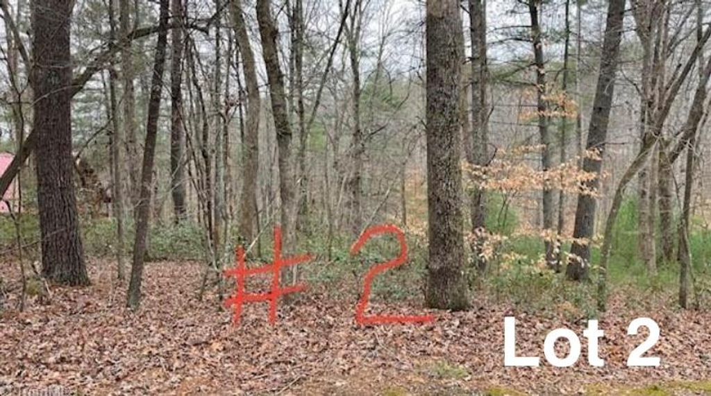 Photo of 2 Reserve Trail #2, Stuart, VA 24171 (MLS # 109058)