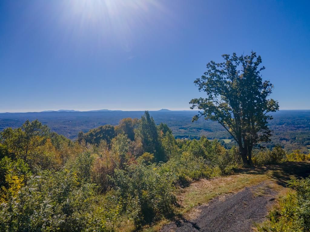 Photo of 3 Spring Pond Trl #78-80, Fancy Gap, VA 24328 (MLS # 103828)