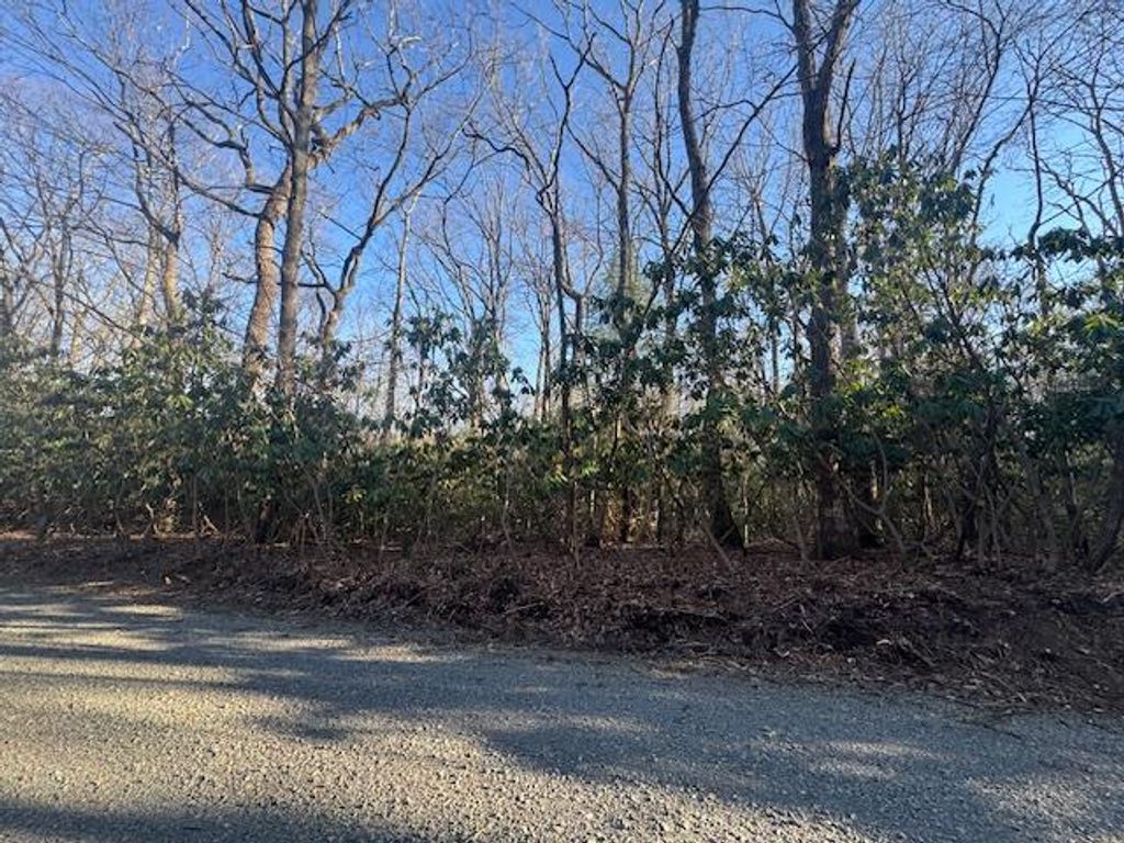 Photo of TBD Hickory Nut Hollar #78.79, Hillsville, VA 24343 (MLS # 109544)