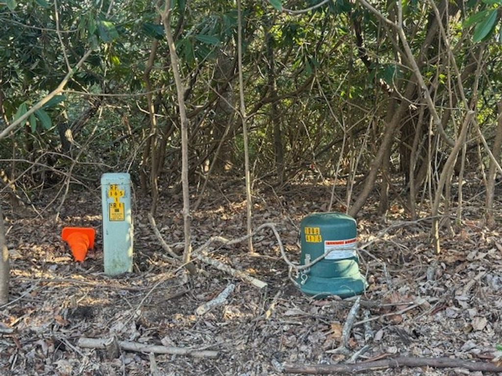 Photo of TBD Hickory Nut Hollar #78.79, Hillsville, VA 24343 (MLS # 109544)