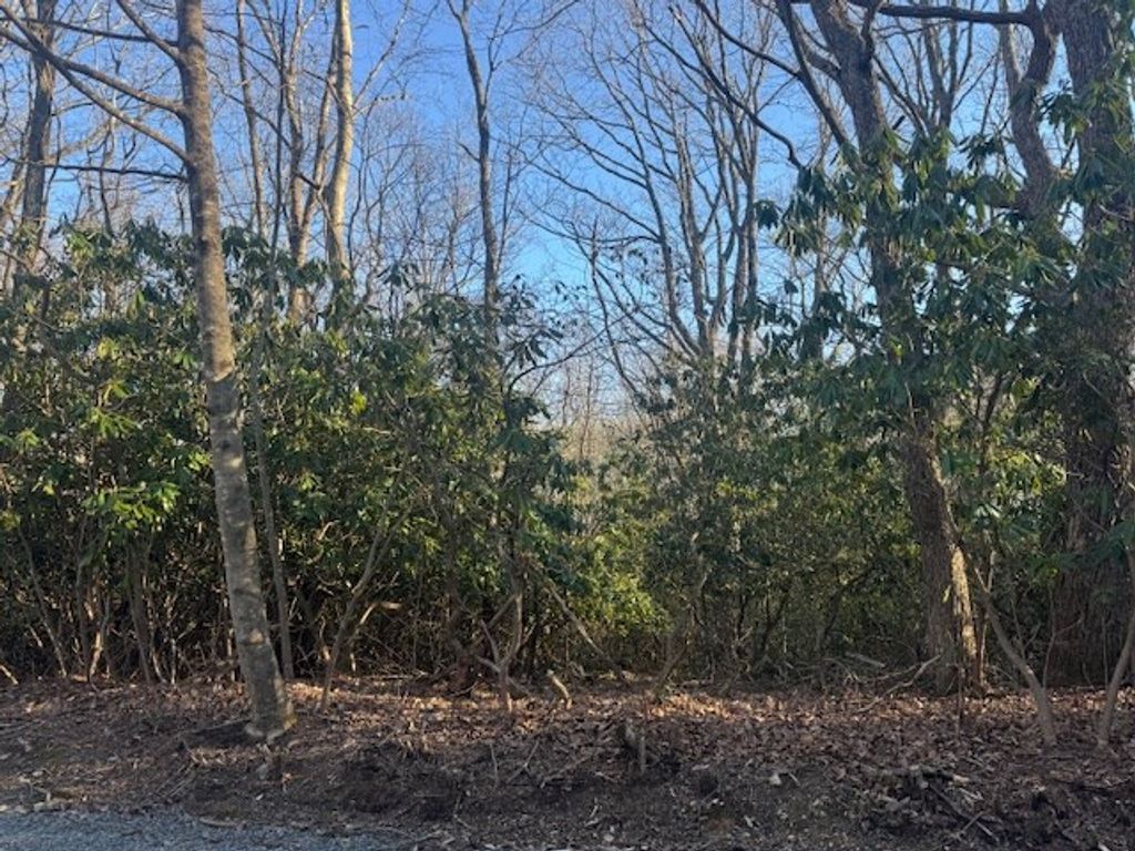 Photo of TBD Hickory Nut Hollar #78.79, Hillsville, VA 24343 (MLS # 109544)