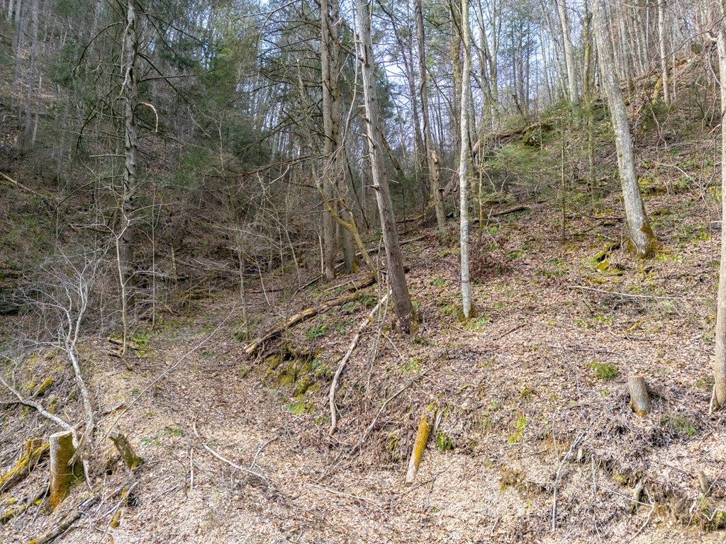 Photo of TBD Cove Creek #46/47, Bristol, VA 24202 (MLS # 104093)