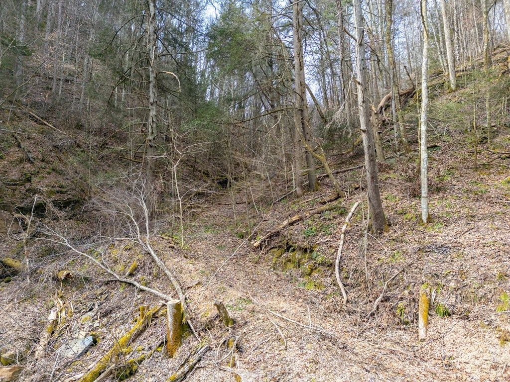 Photo of TBD Cove Creek #46/47, Bristol, VA 24202 (MLS # 104093)