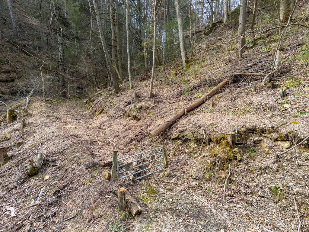 Photo of TBD Cove Creek #46/47, Bristol, VA 24202 (MLS # 104093)