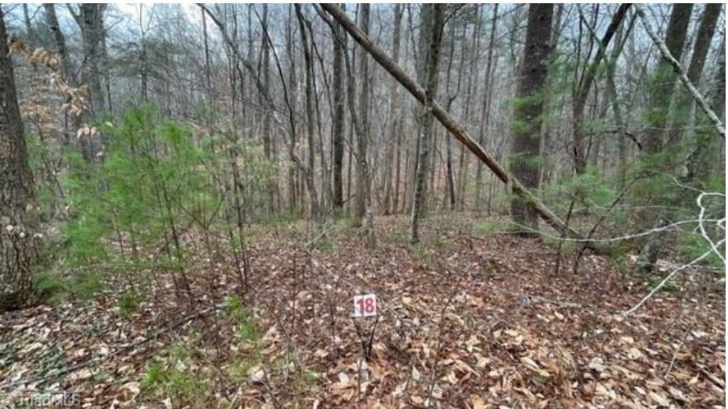 Photo of 18 Woods Haven Lane #18, Stuart, VA 24171 (MLS # 87247)