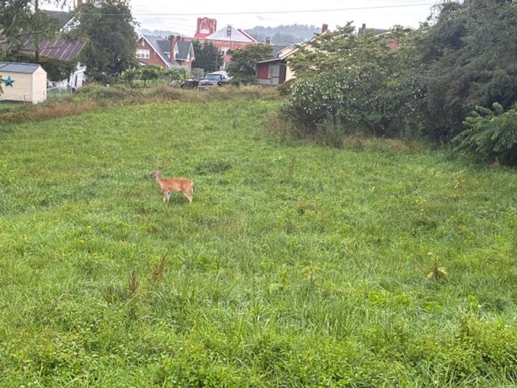 Photo of tbd Webster St #10, Galax, VA 24333 (MLS # 100777)