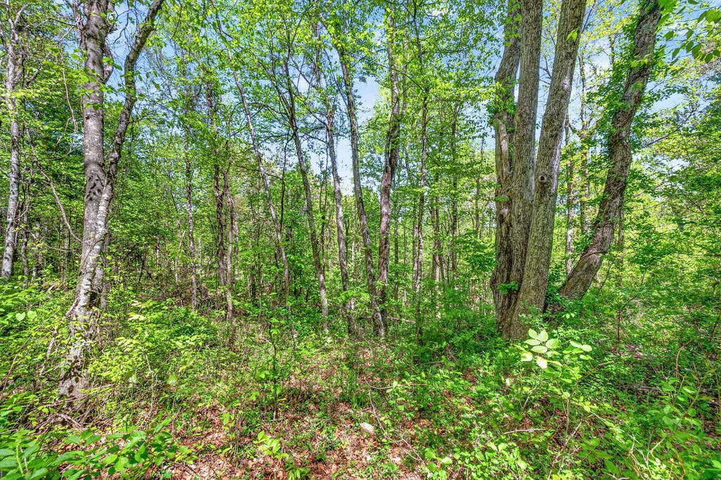 Photo of 0 Countyline Church Road SE #0, Floyd, VA 24091 (MLS # 111466)