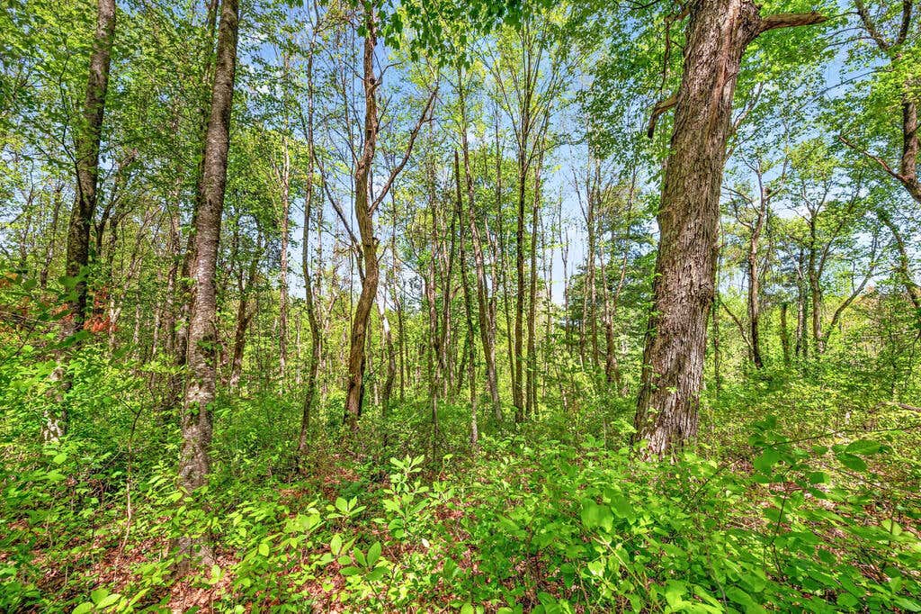 Photo of 0 Countyline Church Road SE #0, Floyd, VA 24091 (MLS # 111466)
