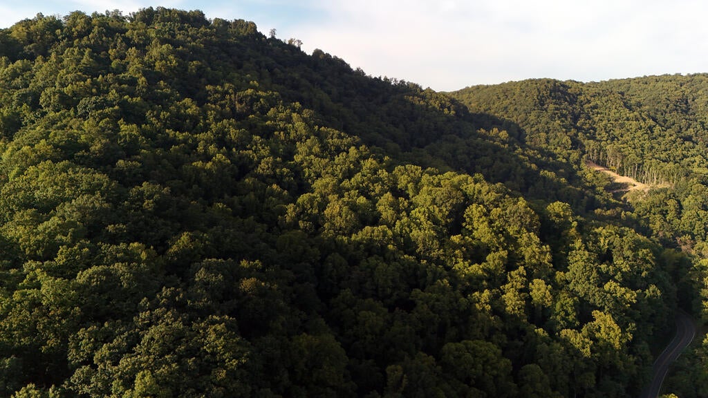 Photo of TBD Willis Gap Rd, Ararat, VA 24053 (MLS # 112171)