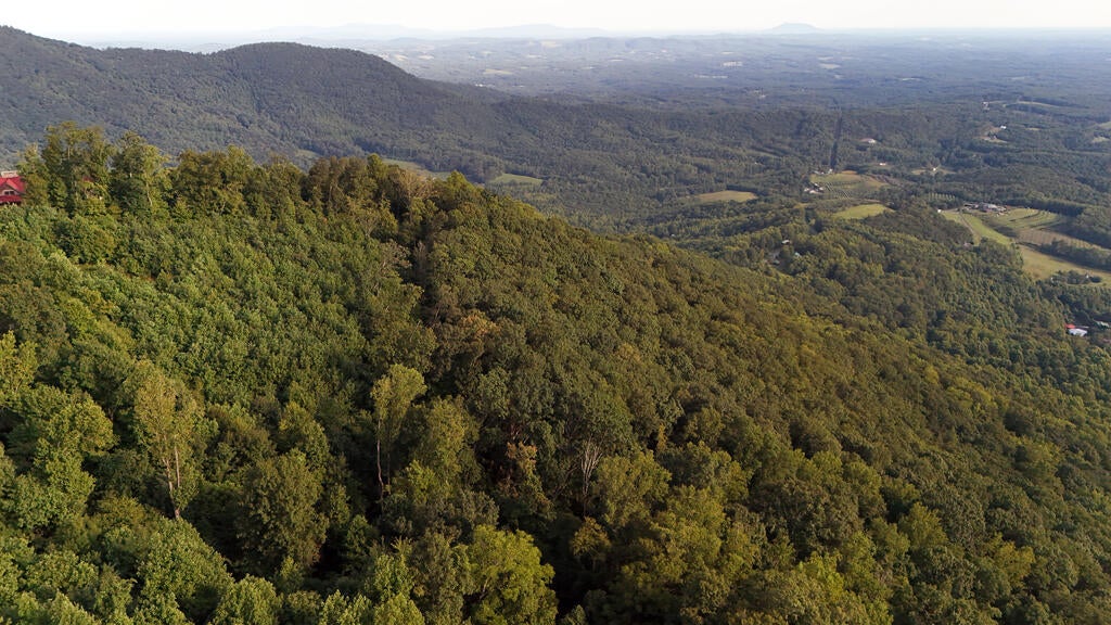 Photo of TBD Willis Gap Rd, Ararat, VA 24053 (MLS # 112171)