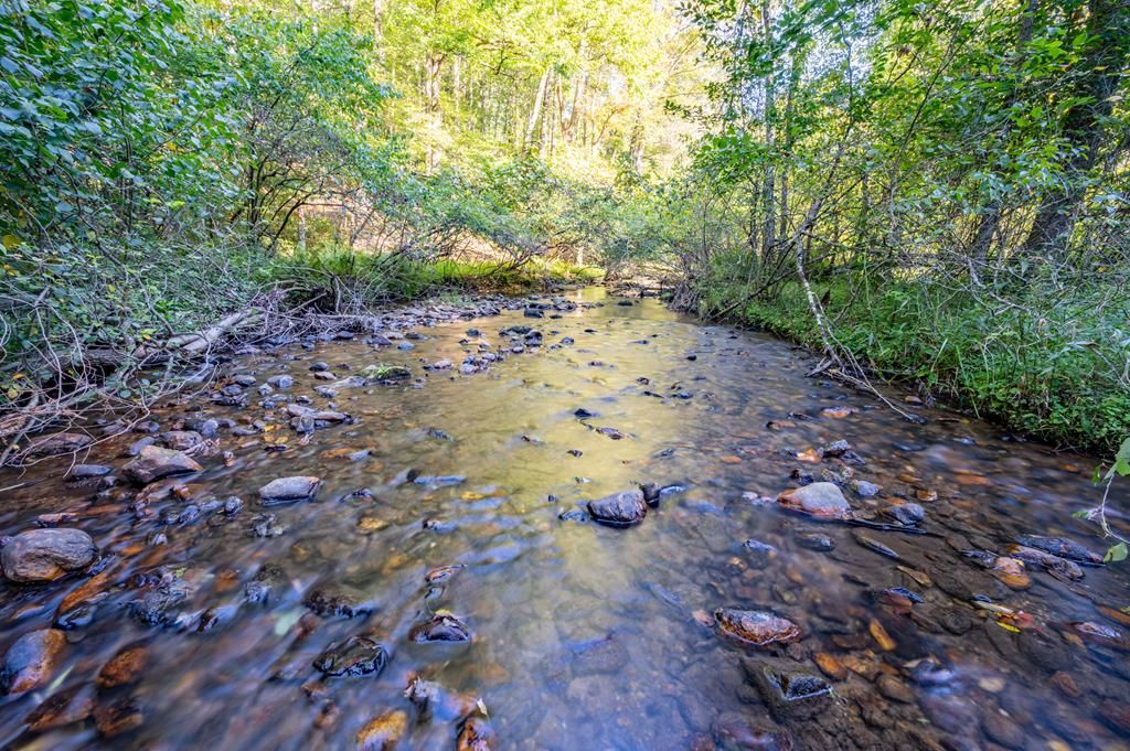 Photo of 000 Cox Store Road SW #65-136, Floyd, VA 24091 (MLS # 103269)