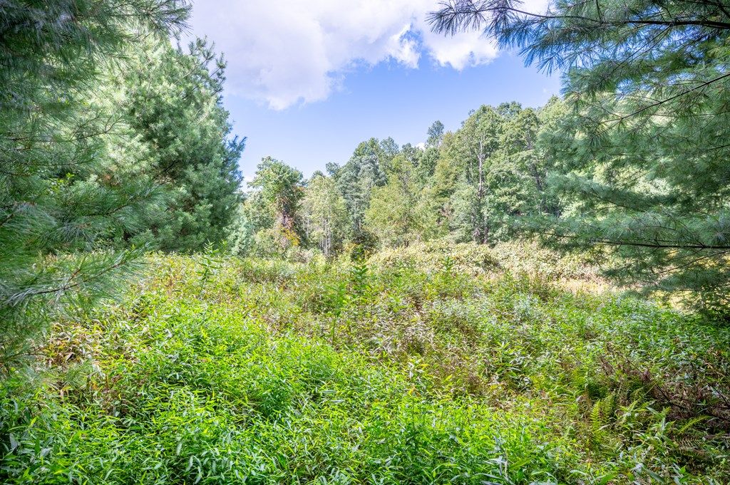 Photo of 000 Cox Store Road SW #65-136, Floyd, VA 24091 (MLS # 103269)