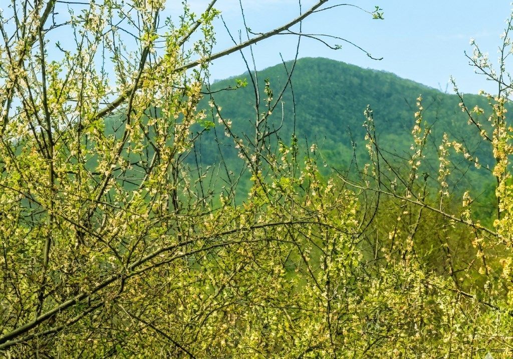 Photo of TBD N Independence Avenue #none, Independence, VA 24348 (MLS # 109650)