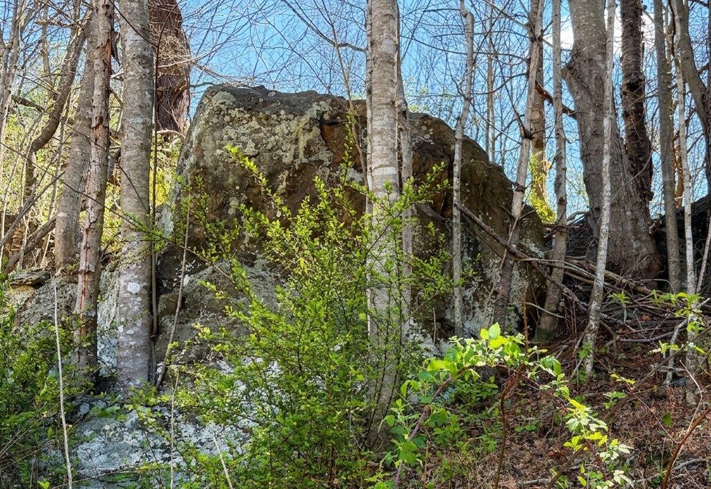 Photo of TBD N Independence Avenue #none, Independence, VA 24348 (MLS # 109650)