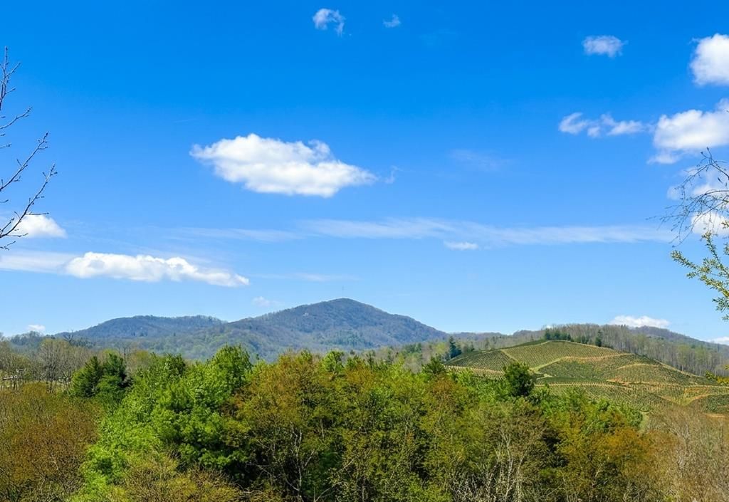 Photo of TBD N Independence Avenue #none, Independence, VA 24348 (MLS # 109650)