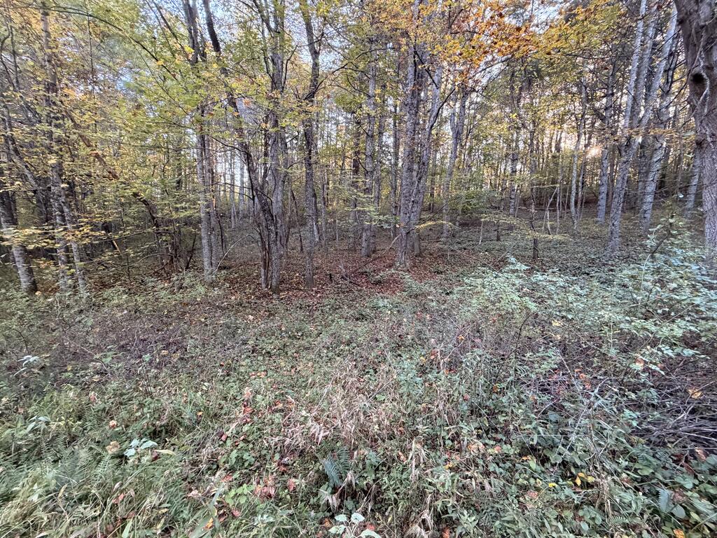 Photo of TBD Wild Cherry Ln #4, Dugspur, VA 24325 (MLS # 112237)