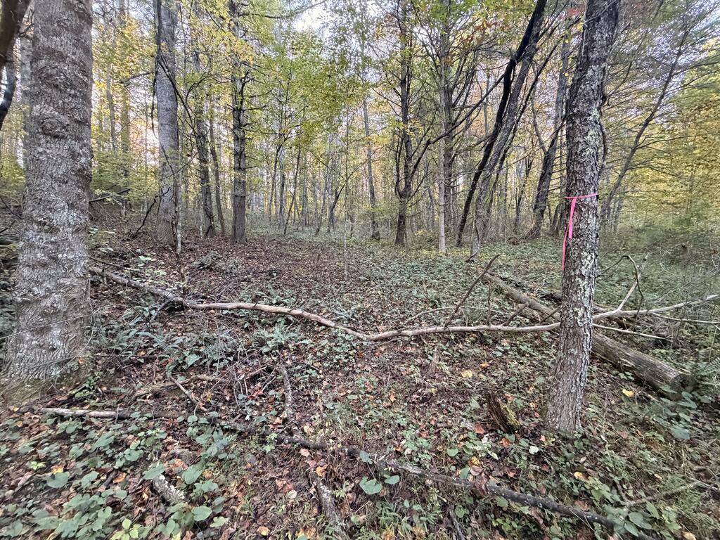 Photo of TBD Wild Cherry Ln #4, Dugspur, VA 24325 (MLS # 112237)