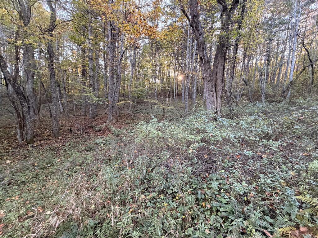 Photo of TBD Wild Cherry Ln #4, Dugspur, VA 24325 (MLS # 112237)