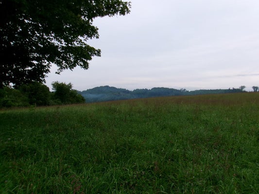LITTLE ACRES RD, NORTH TAZEWELL, VA 24630 - Image ec6ea12d3abb1d9bc0dbe6c54027346b/2996109227