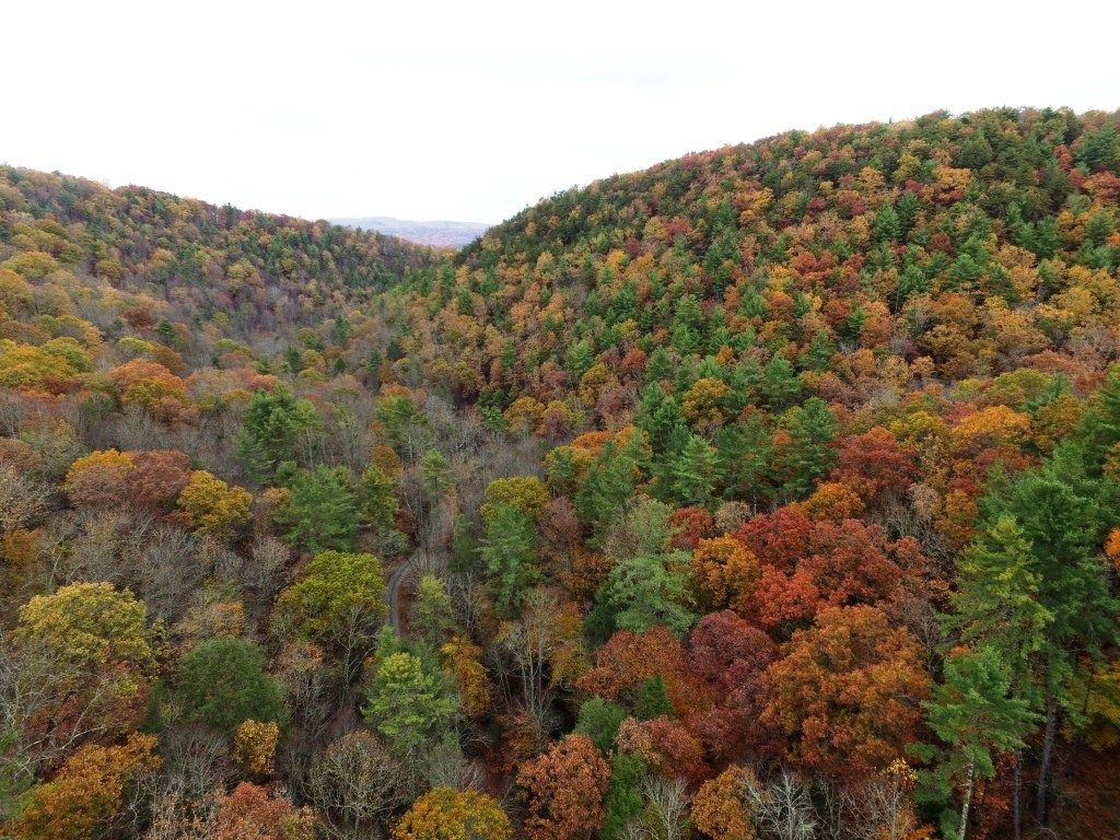 Photo of 21 Collins Cove Rd #21B, Ivanhoe, VA 24350 (MLS # 103952)