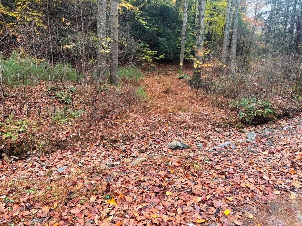 Photo of 21 Collins Cove Rd #21B, Ivanhoe, VA 24350 (MLS # 103952)