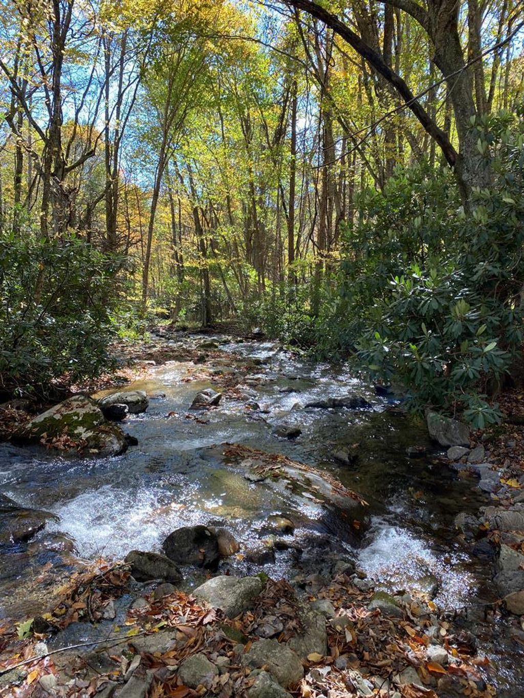 Photo of 427 Middle Fork Ln #0, Whitetop, VA 24292 (MLS # 103505)