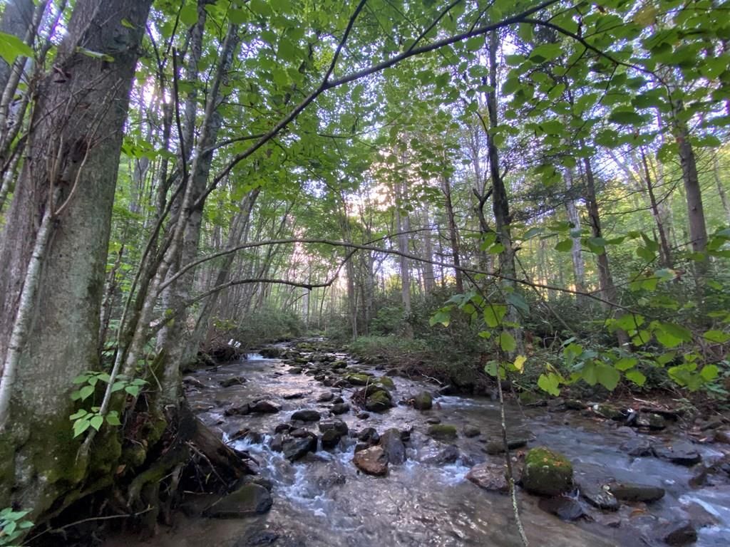 Photo of 427 Middle Fork Ln #0, Whitetop, VA 24292 (MLS # 103505)