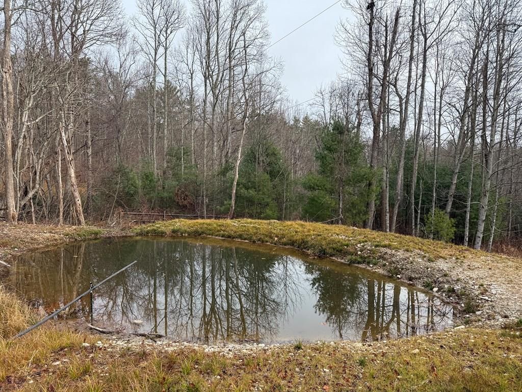 Photo of TBD Retreat Rd #133-10-1008A, Hillsville, VA 24343 (MLS # 104191)