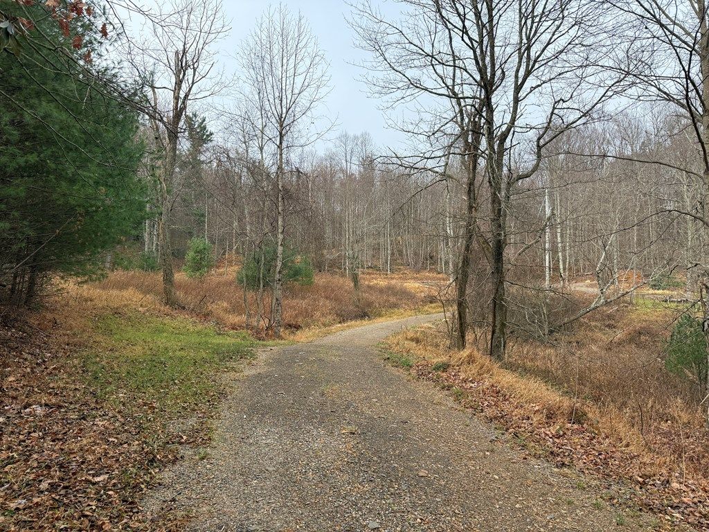 Photo of TBD Retreat Rd #133-10-1008A, Hillsville, VA 24343 (MLS # 104191)