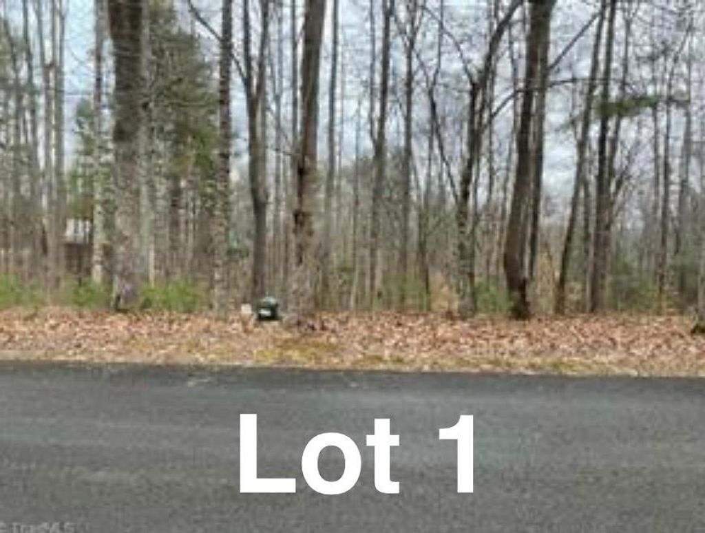 Photo of 1 Reserve Trail #1, Stuart, VA 24171 (MLS # 109057)