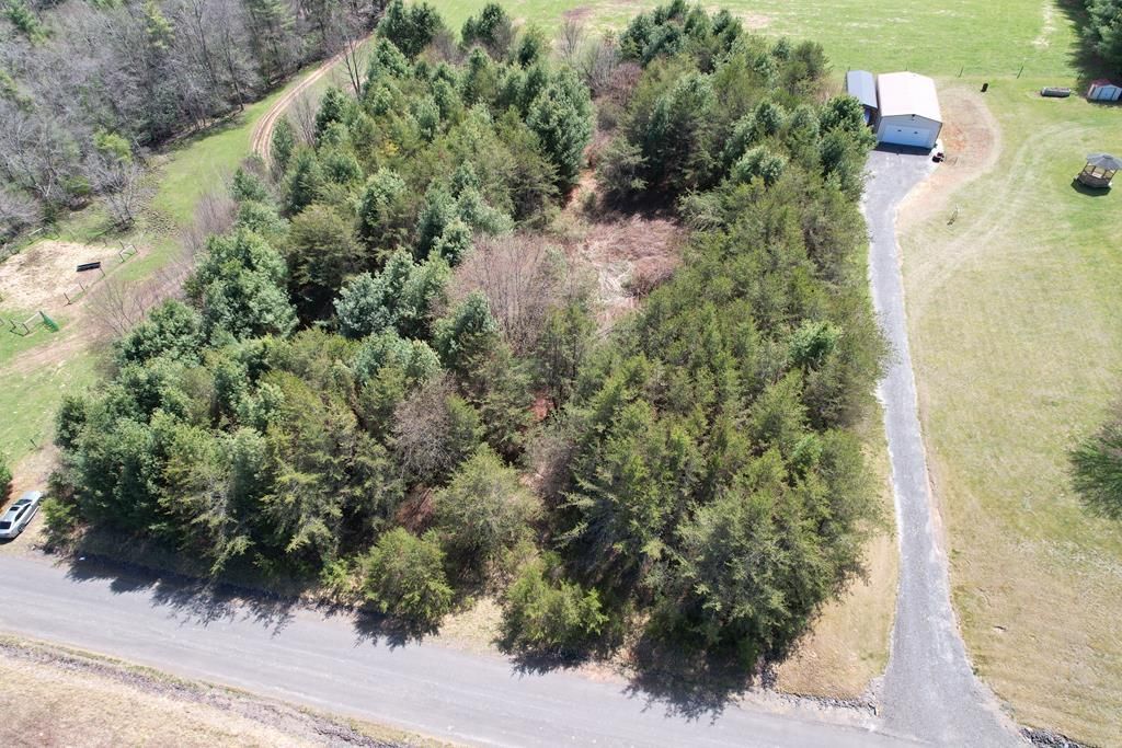 Photo of TBD Pine Branch Road #7 &amp; 8, Laurel Fork, VA 24352 (MLS # 109502)