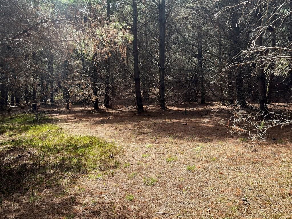 Photo of TBD Pine Branch Road #7 &amp; 8, Laurel Fork, VA 24352 (MLS # 109502)