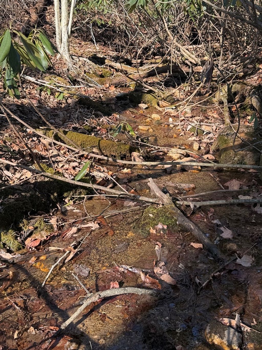 Photo of TBD Laurel Way #6, Fancy Gap, VA 24328 (MLS # 104532)