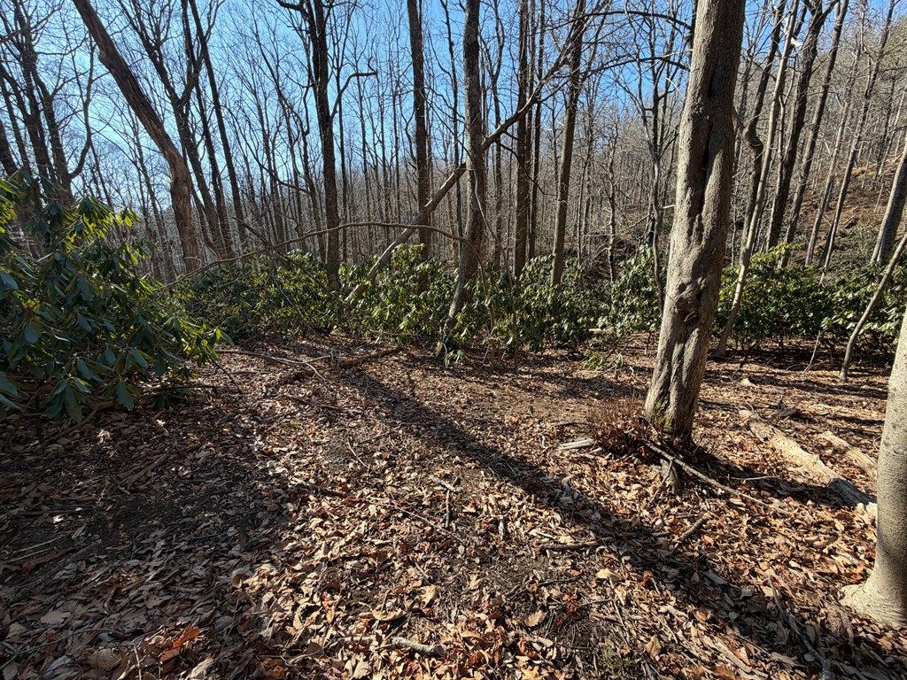 Photo of TBD Laurel Way #6, Fancy Gap, VA 24328 (MLS # 104532)